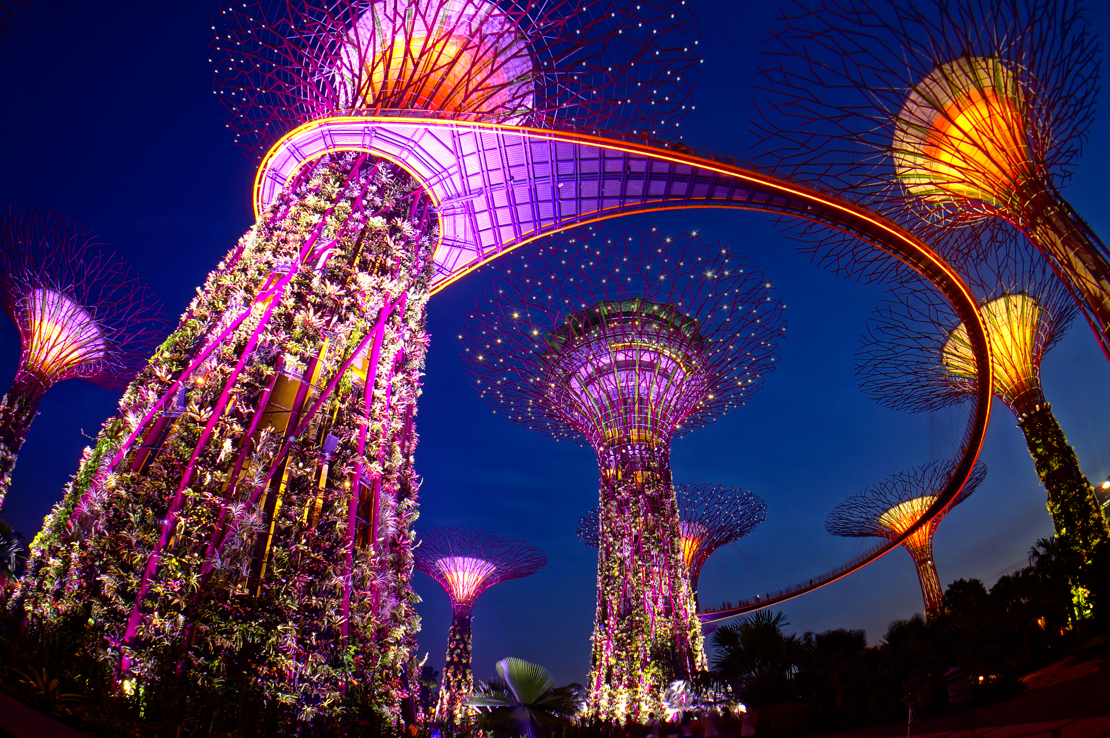 Viajes a Singapur 2023-2024 | Paquetes a Singapur Asia-Oriente en Español | Excursiones y Tours a Singapur
