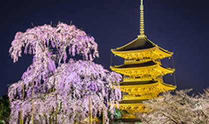 Viaje a TOKIO, KIOTO E HIROSHIMA 2024 en español | Agencia de Viajes Festival