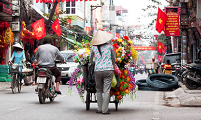 Super Oferta: Viaje a NORTE DE VIETNAM CON HOA LU TAM COC | VIETNAM en Español 2024-2025