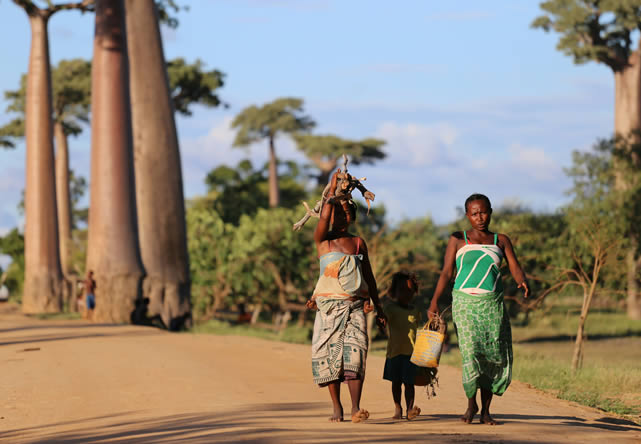 foto del tout a madagascar en español 2024-2025