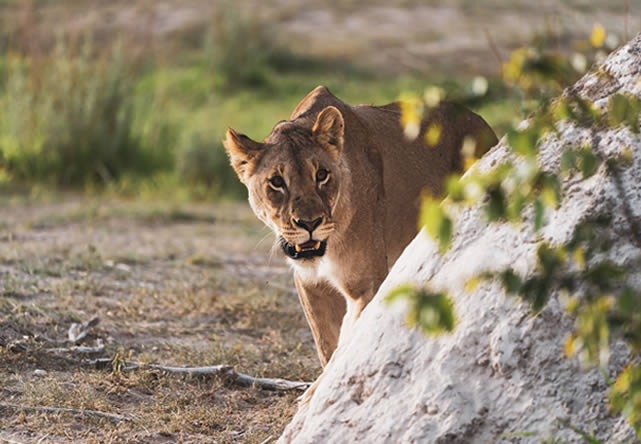 Foto de viaje a namibia en Español 2024-2025