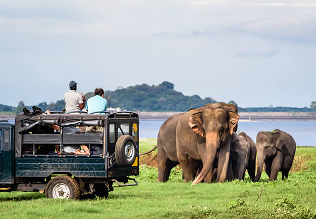 Foto de viaje a sri lanka en Español 2024-2025